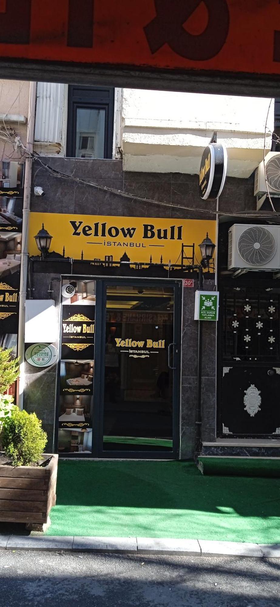Yellow Bull Alloggio in famiglia Provincia di Istanbul
