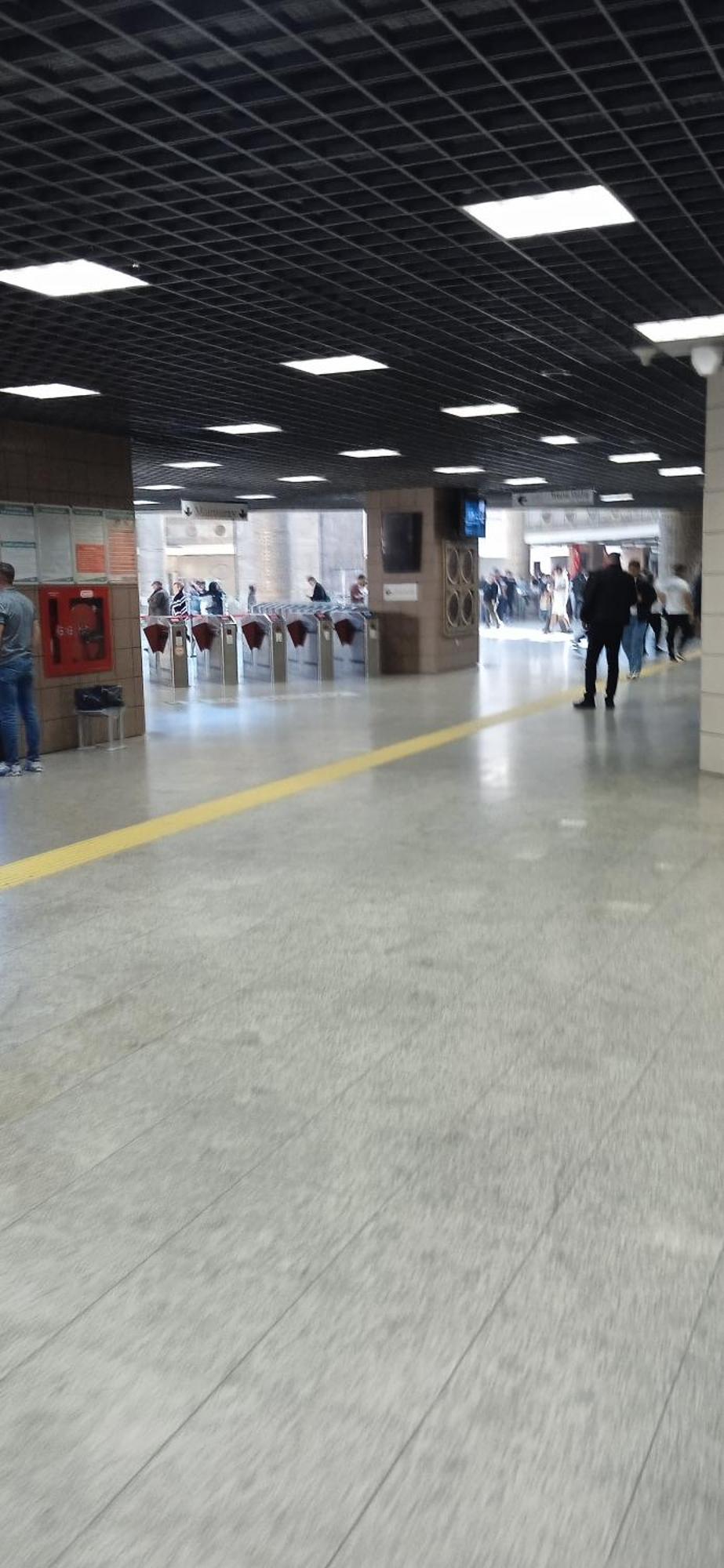 Alloggio in famiglia Yellow Bull Provincia di Istanbul